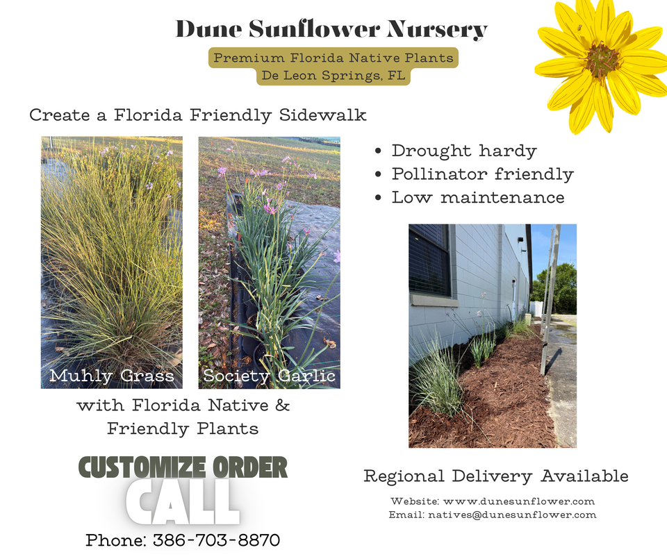Create a Florida Friendly Sidewalk